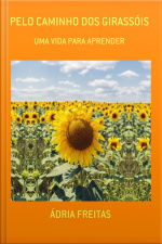 Pelo Caminho Dos Girassóis