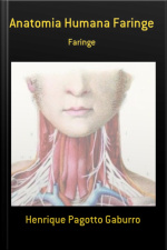 Anatomia Humana Faringe