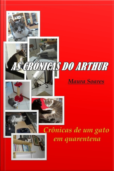 As Crônicas Do Arthur