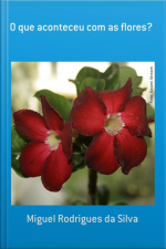 O Que Aconteceu Com As Flores?