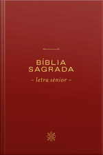 Bíblia Nvi, Letra Sênior, Capa Vinho