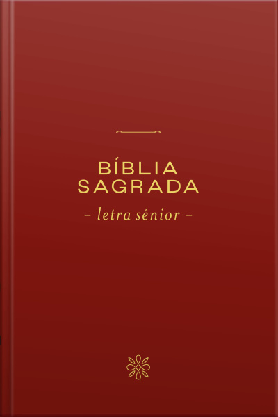 Bíblia Nvi, Letra Sênior, Capa Vinho