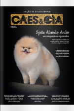 Cães e Cia Ed. 515 - Spitz Alemão Anão: um companheiro espetacular