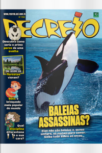 Revista Recreio – Edição 1192