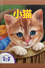 小猫咪