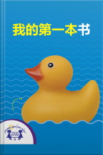我的第一本书
