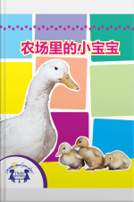 农场里的小宝宝