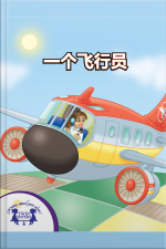 一个飞行员