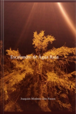 Escafandro De Água Rasa