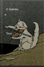 O Gatinho
