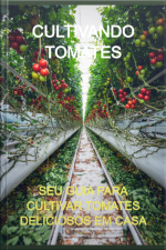 Cultivando Tomates