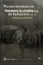 Pantera Borralheira De Barbacena 2 - Contos