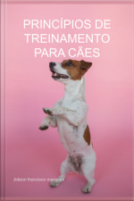 Princípios De Treinamento Para Cães