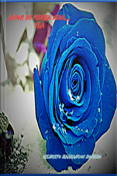 Amor De Minha Vida...