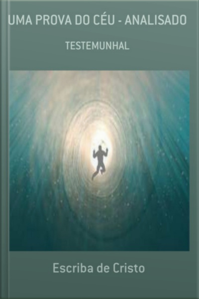 Uma Prova Do Céu Analisada