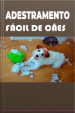 Adestramento Fácil De Câes