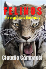 Os Felinos