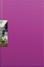 O Melhor Amigo Do Gato