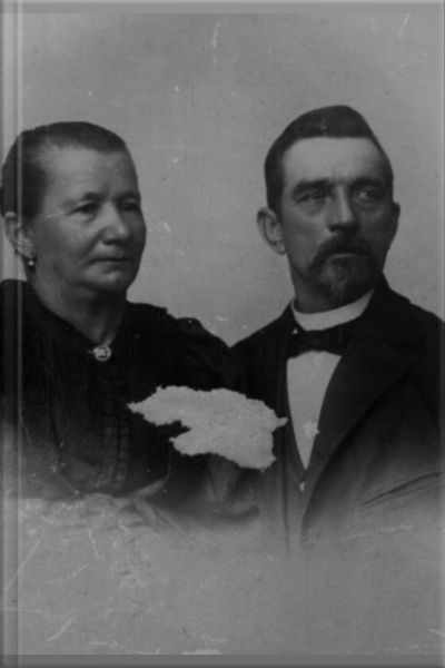 Família, O Ramo Que Pertenço -