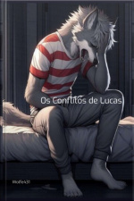 Os Conflitos De Lucas