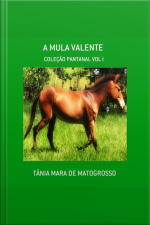A Mula Valente