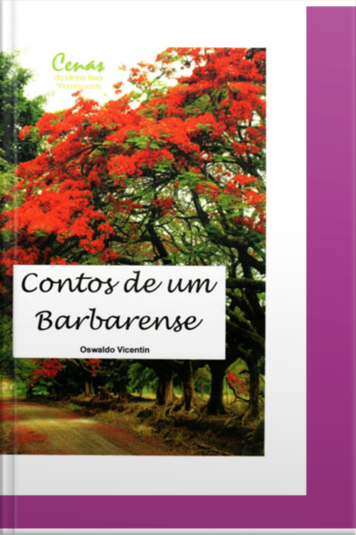 Contos De Um Barbarence