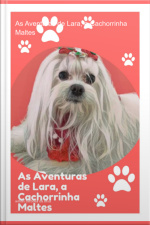 As Aventuras De Lara, A Cachorrinha Maltes