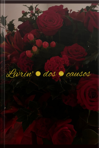 Livrin Dos Causos