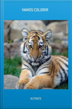 Vamos Colorir