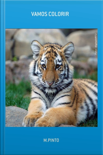 Vamos Colorir