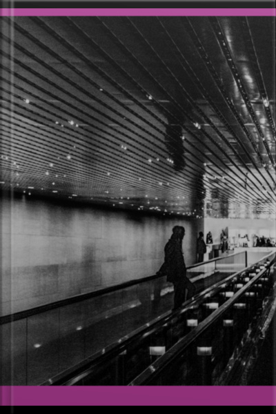 Prospere Vivendo A Vida Que Você Nasceupara Viver