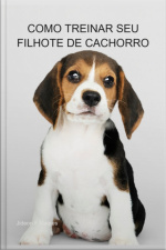 Como Treinar Seu Filhote De Cachorro