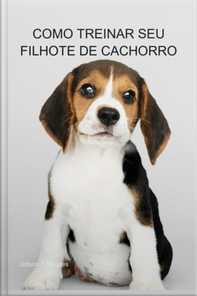 Como Treinar Seu Filhote De Cachorro