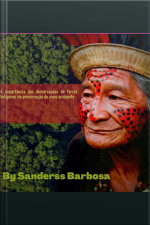 A Importância Das Demarcações De Terras Indígenas Na Preservação Do Meio Ambiente