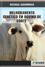 Melhoramento Genético Em Bovinos De Corte
