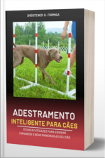 Adestramento Inteligente Para Cães
