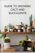 Guide To Growing Cacti And Succulents