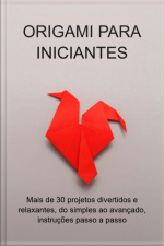 Origami Para Iniciantes