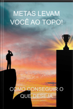 Metas Levam Você Ao Topo!