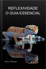 Reflexividade O Guia Essencial