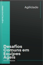Desafios Comuns Em Equipes Ageis