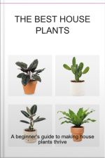 The Best House Plants