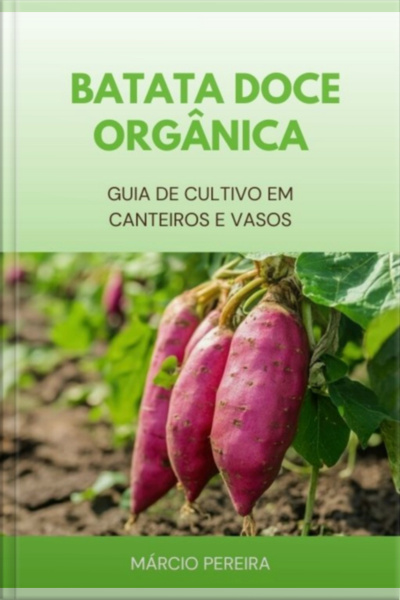 Batata Doce Orgânica