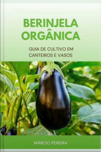 Berinjela Orgânica