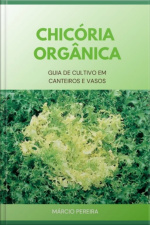 Chicória Orgânica
