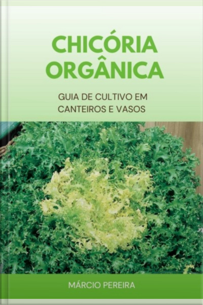 Chicória Orgânica
