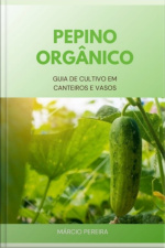 Pepino Orgânico