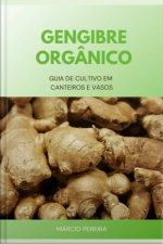 Gengibre Orgânico