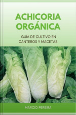 Achicoria Orgánica