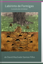 Labirinto De Formigas